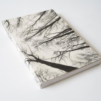 Forest | Paperback Notebook