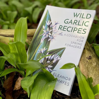 Wild Garlic Recipes: A Cookbook For Spring Foragers By Eleanor Hayes