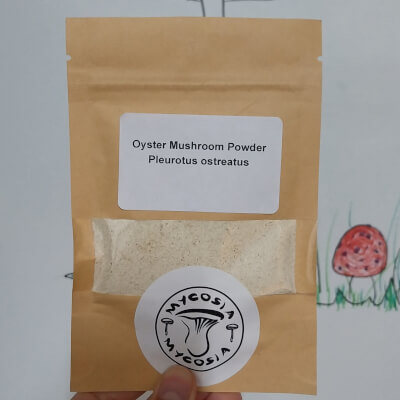 Powdered Oyster Mushroom