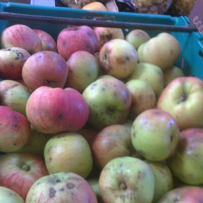 1Kg Cooking Apples  Grown In Galway 