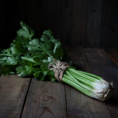 Celery (Holland)