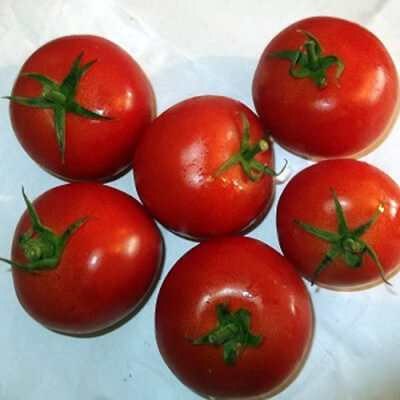 Tomatoes 500G Grown In Ireland