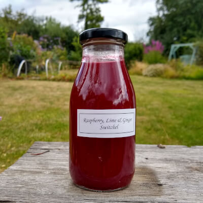 Raspberry, Lime And Ginger Switchel 