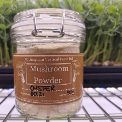 Organically Grown Oyster Mushroom Powder