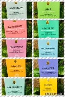 Organic Tisserand Essential Tea Tree Oil