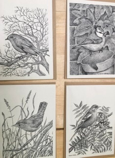 4 Connemara Bird Notelets & Envelopes