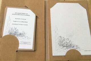 Folder Set Of Woodland Wildflowers Writing Set 