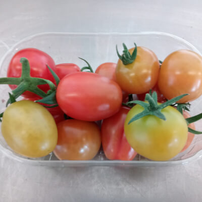 Tomatoes Mixed Cherry