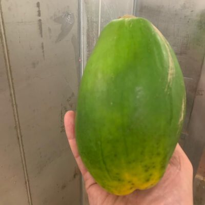 Organic Papaya 