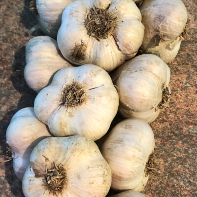 Plat Of Garlic (Min 10 Bulbs)