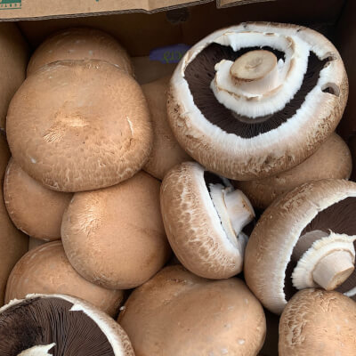 Organic Portobello Mushrooms 