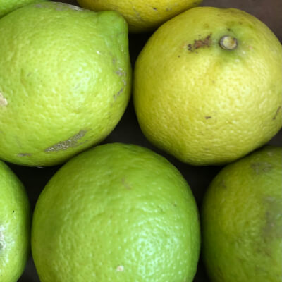 Organic Green Lemons (Italy)