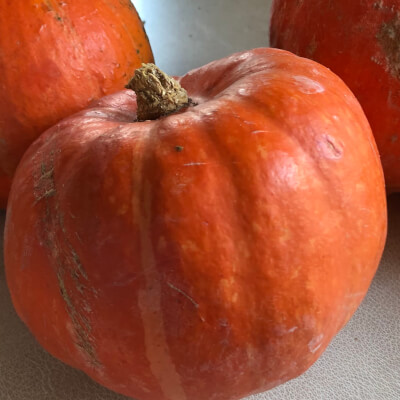 Small Organic Pumpkin