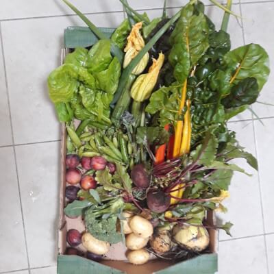 Box Of Vegetables & Fruit