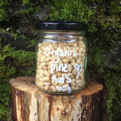 Organic Pine Nuts
