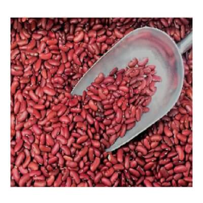 Organic Dried Red Kidney Beans