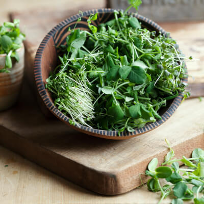 Quintessentially English "Micro-Salad"