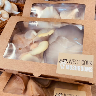West Cork Mushrooms