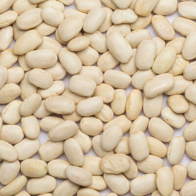 Organic Medium White Beans