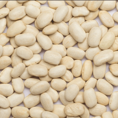 Organic White Beans 