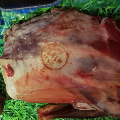 Small Whole Hoggett  Shoulder - 1.5 Kg Approx
