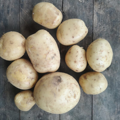 Early Potatoes 