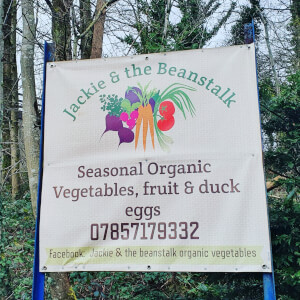 Jackie & the beanstalk organic veg