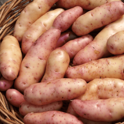 Pink Fir Apple Potatoes