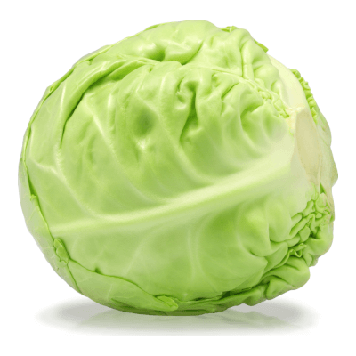 Organic White Cabbage (Scotland)
