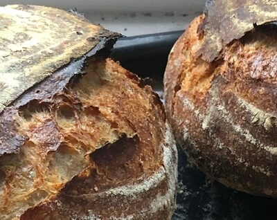 Sourdough Bread Round White Loaf