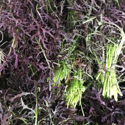 Organic Purple Mizuna