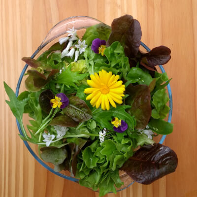 Organic Mixed Salad -New Season Mix