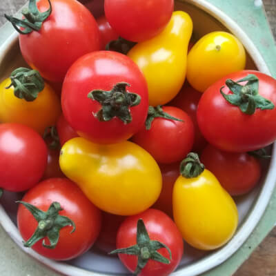 Organic Cherry Tomatoes Mix
