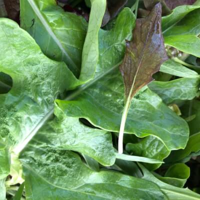 Mixed Leaf Salad (150G Bag) 