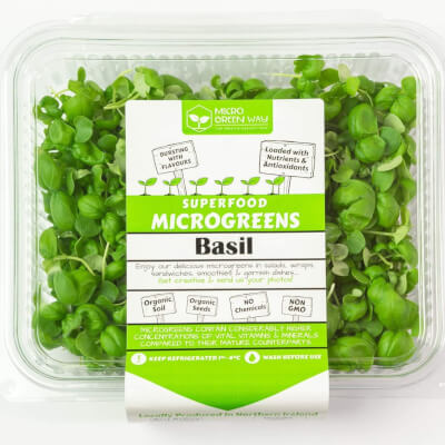 Basil Microgreens