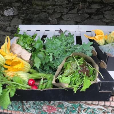 €24 Vegetable Box 