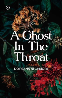 A Ghost In The Throat By Doireann Ni Ghriofa