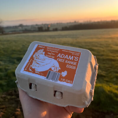 Adams Free Range  Eggs