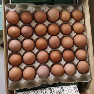 Organic 30 Egg Tray