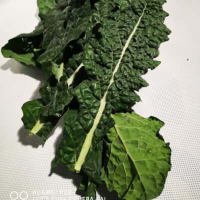 Irish Organic Nero Kale 