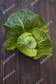 Irish Organic Pointed Cabbage - Straight From Our Fields 