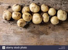 Irish Organic Potato 