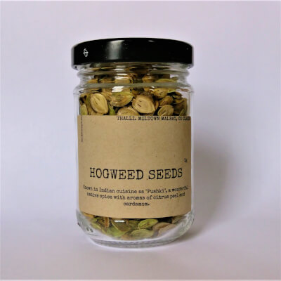 Dried Pushki / Hogweed Seeds