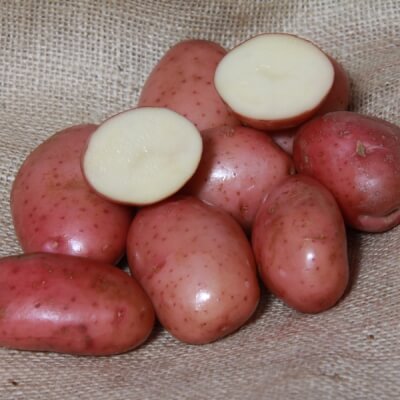 Red Potatoes (Organic)