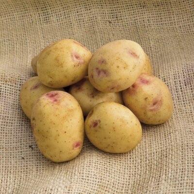 Skea's Select Potatoes (Organic)