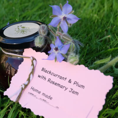 Blackcurrant & Plum With Rosemary Jam
