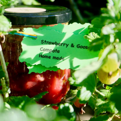 Strawberry & Gooseberry Compote