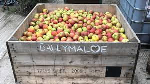 Ballymaloe Apple Juice