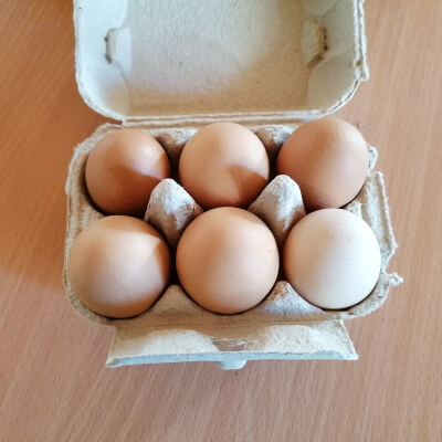Free Range Busherstown Eggs