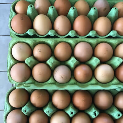 Free Range Hen Eggs